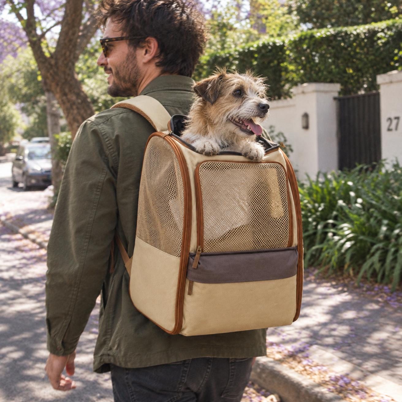 Terrier peeking out of The Wag Club carrier backpack on a walk